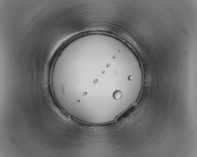 X0000113981116200910161616