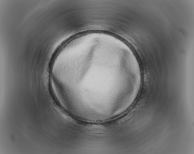 X0000113981119200910161616