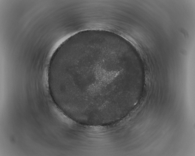 X0000113981120200910161616