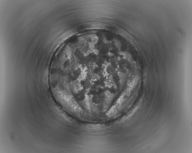 X0000113981121200910161616