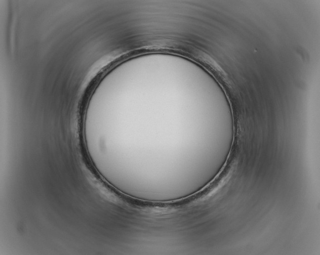 X0000113981122200910161616