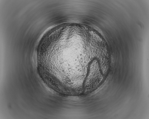 X0000113981123200910161616