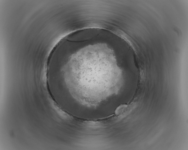 X0000113981124200910161616