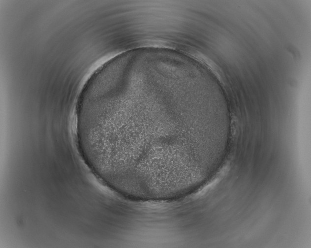 X0000113981125200910161616