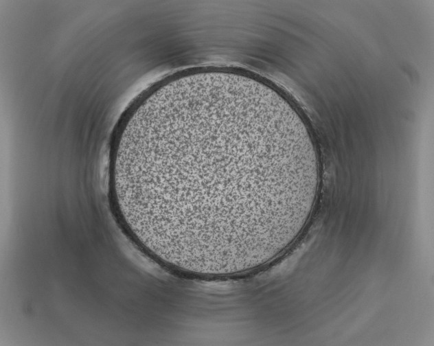 X0000113981126200910161616