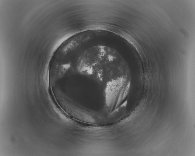 X0000113981127200910161616