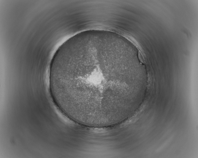 X0000113981128200910161616