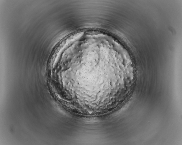 X0000113981129200910161616