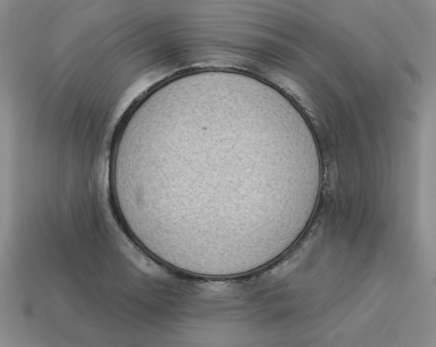 X0000113981130200910161616