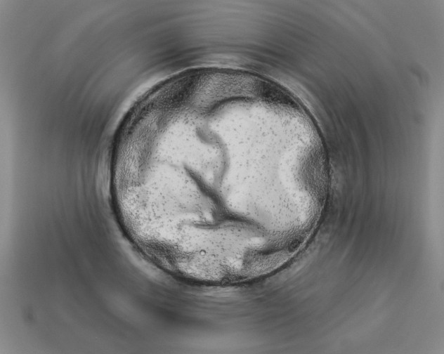 X0000113981131200910161616