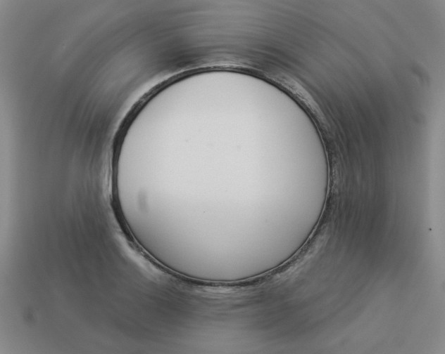 X0000113981132200910161616