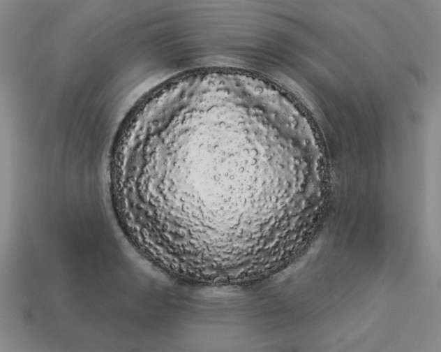 X0000113981133200910161616