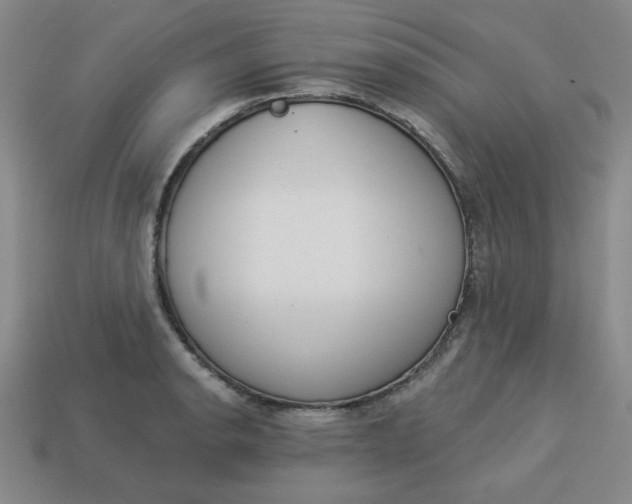 X0000113981134200910161616