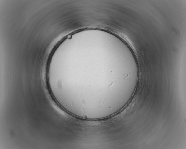 X0000113981136200910161616