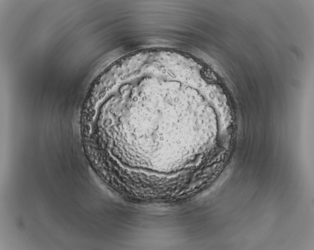 X0000113981137200910161616