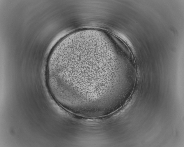 X0000113981138200910161617