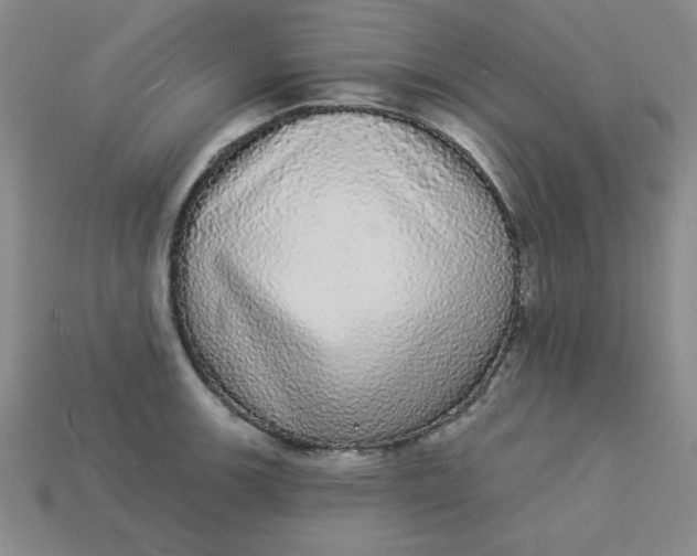 X0000113981139200910161617