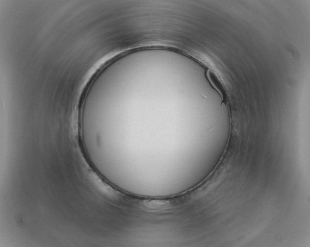 X0000113981140200910161617