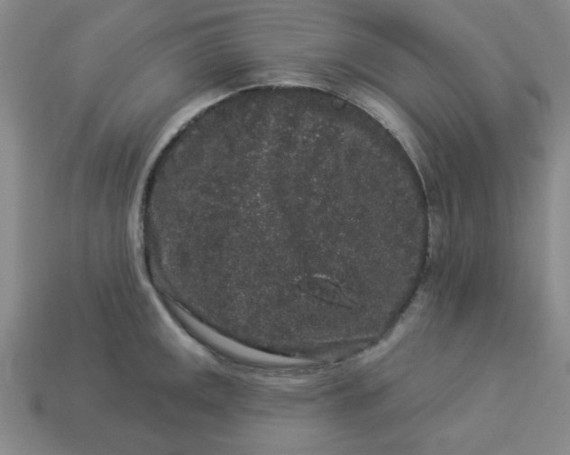 X0000113981141200910161617