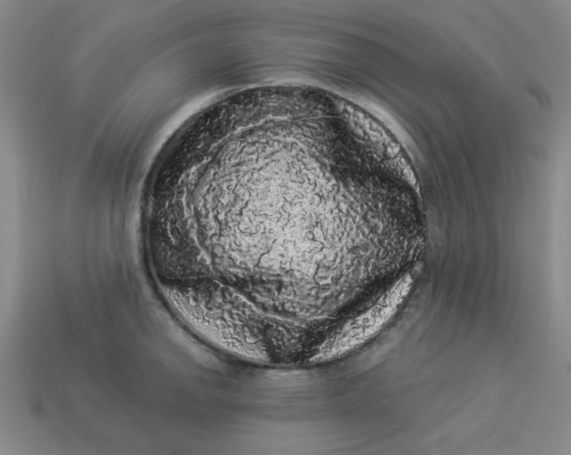 X0000113981142200910161617