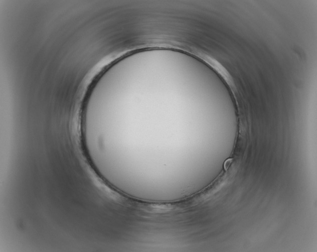 X0000113981144200910161617