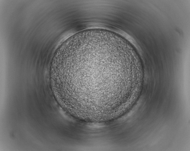 X0000113981145200910161617