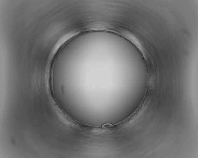 X0000113981146200910161617