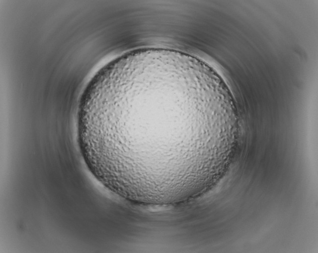 X0000113981147200910161617