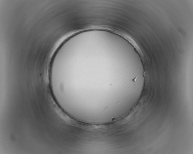 X0000113981148200910161617