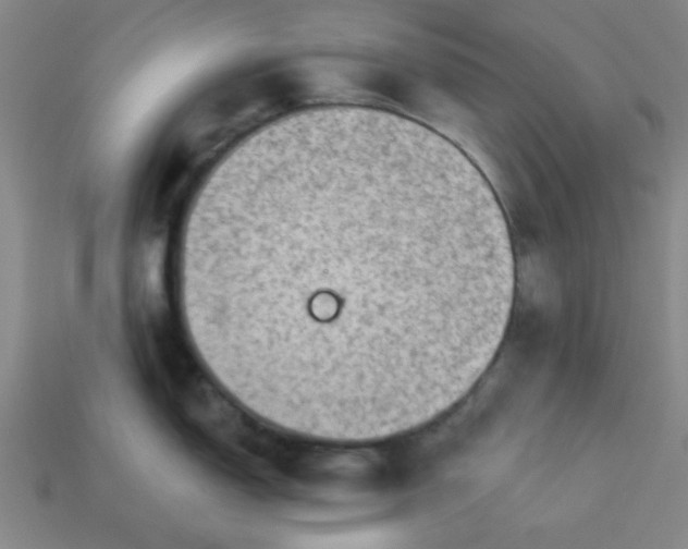 X0000113981150200910161617