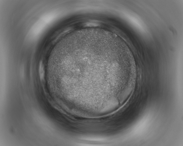 X0000113981151200910161617