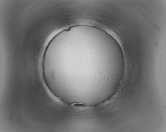 X0000113981152200910161617