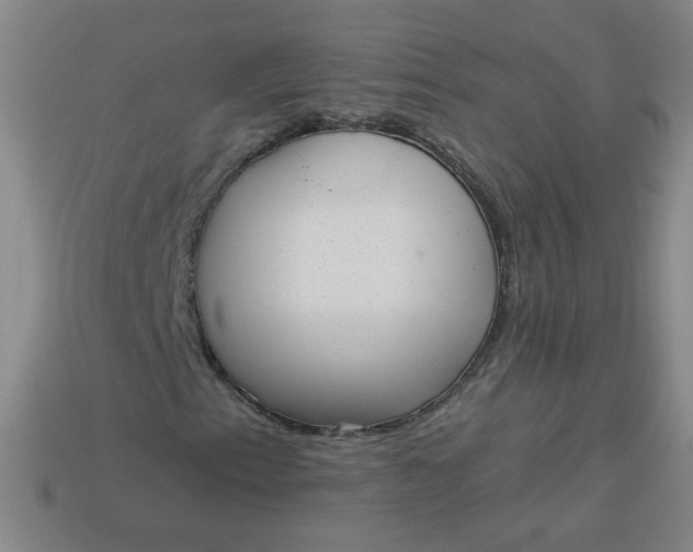 X0000113981153200910161616