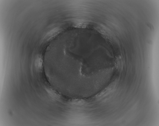 X0000113981154200910161616