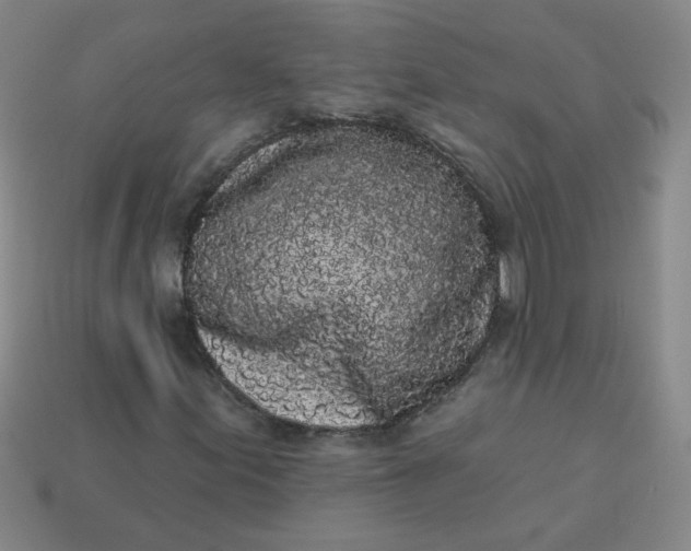 X0000113981155200910161616