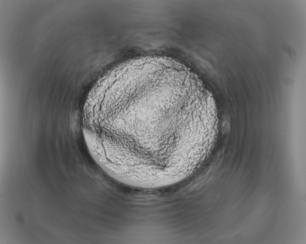 X0000113981156200910161616