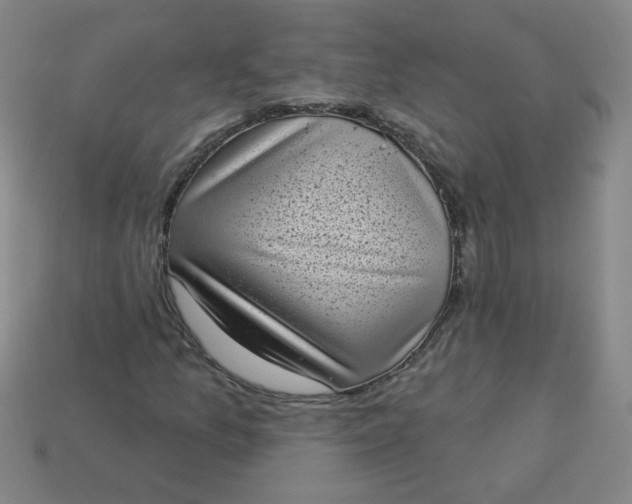 X0000113981157200910161616