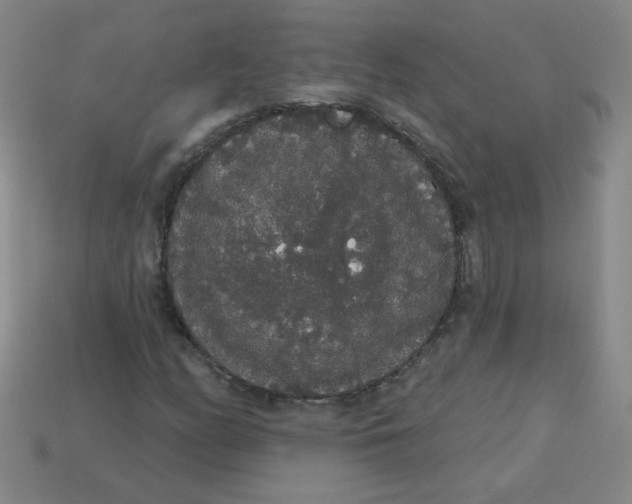 X0000113981158200910161616