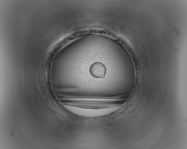 X0000113981159200910161616