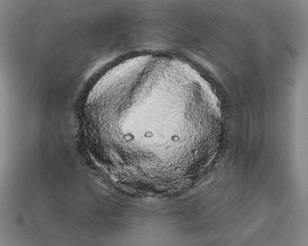 X0000113981160200910161616