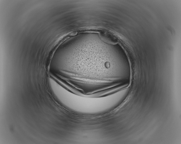 X0000113981161200910161616