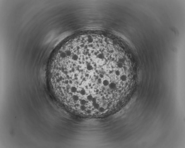 X0000113981162200910161616