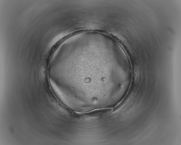 X0000113981163200910161616