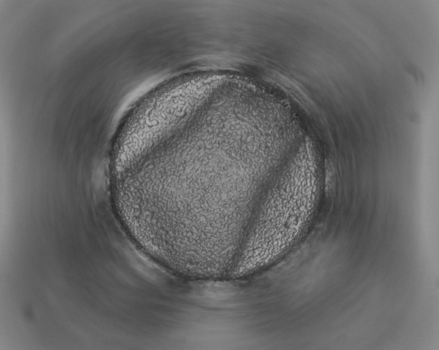 X0000113981164200910161616