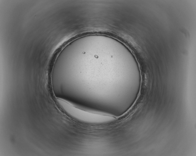 X0000113981165200910161616