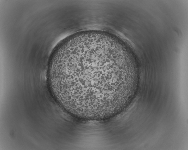 X0000113981166200910161616