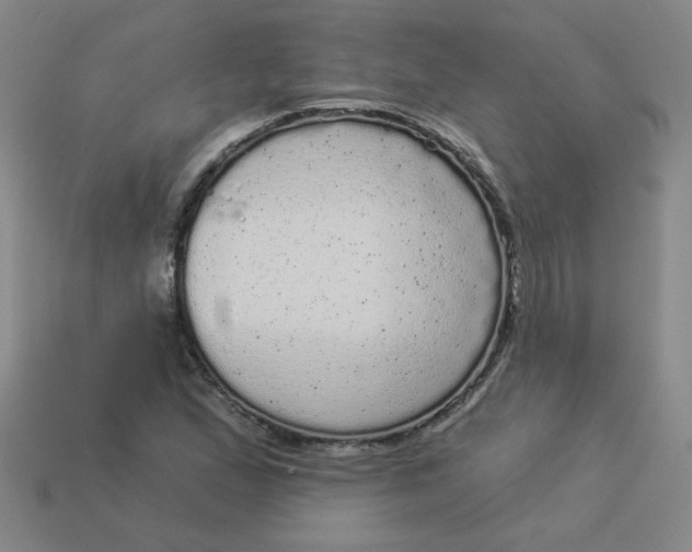 X0000113981167200910161616