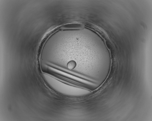 X0000113981168200910161616