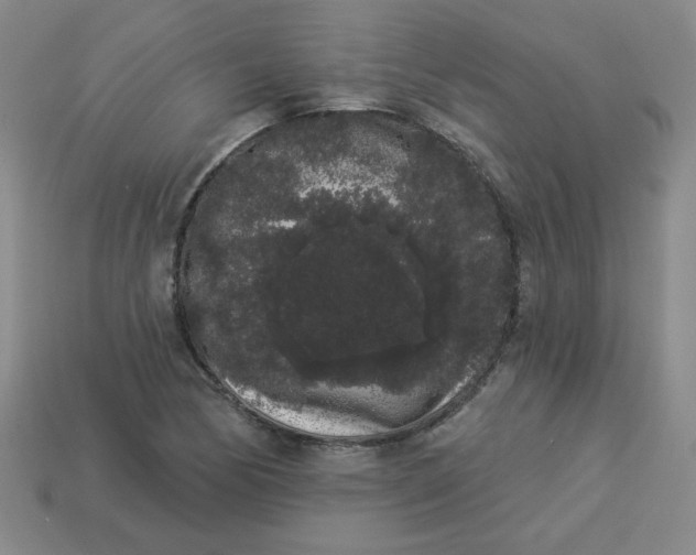 X0000113981170200910161616