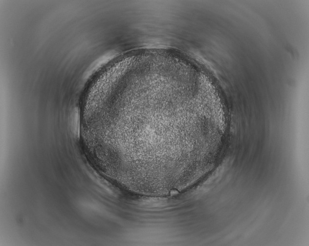 X0000113981171200910161616